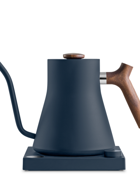 Fellow Rebrew Stagg EKG Electric Kettle Best Price